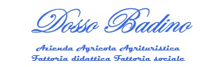 Agriturismo Dosso Badino_Logo