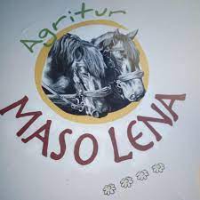 Maso lena_Logo