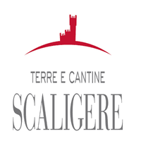 Terre e cantine scagligere_Logo