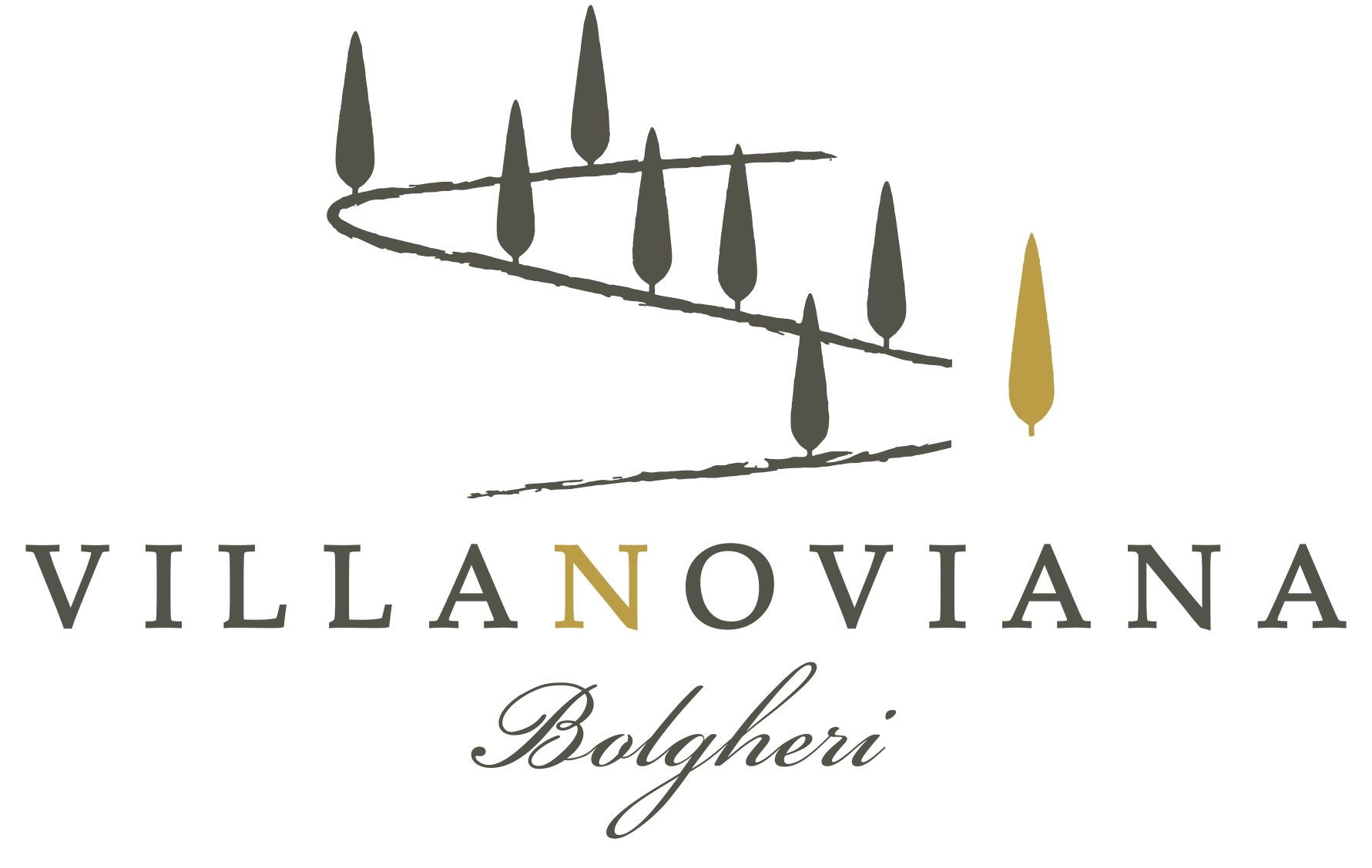 Villanoviana winery_Logo